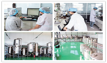 Einecs 232-554-6 Isomalto-Oligosaccharides Chất xơ hòa tan trong chế độ ăn uống 4